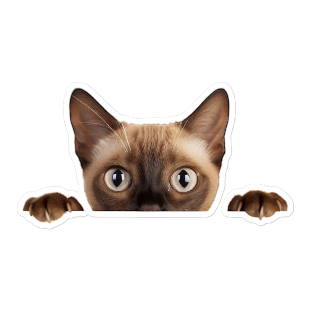 Burmese Sticker - Stickerfy.ai