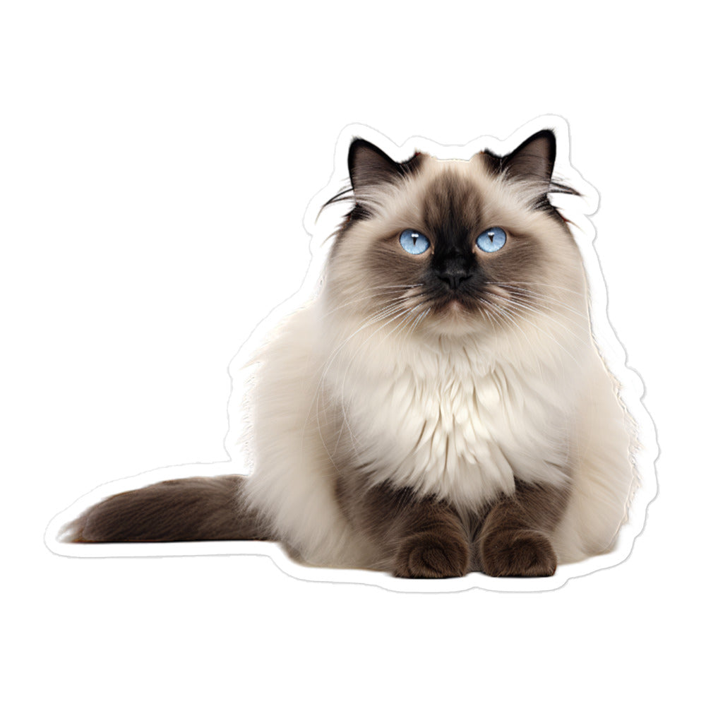 Himalayan Sticker - Stickerfy.ai
