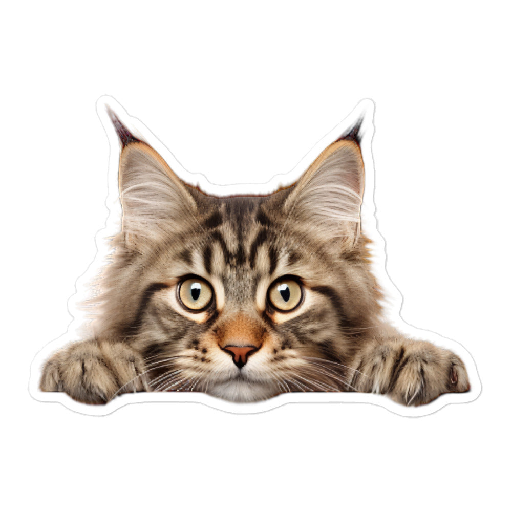 Maine Coon Sticker - Stickerfy.ai