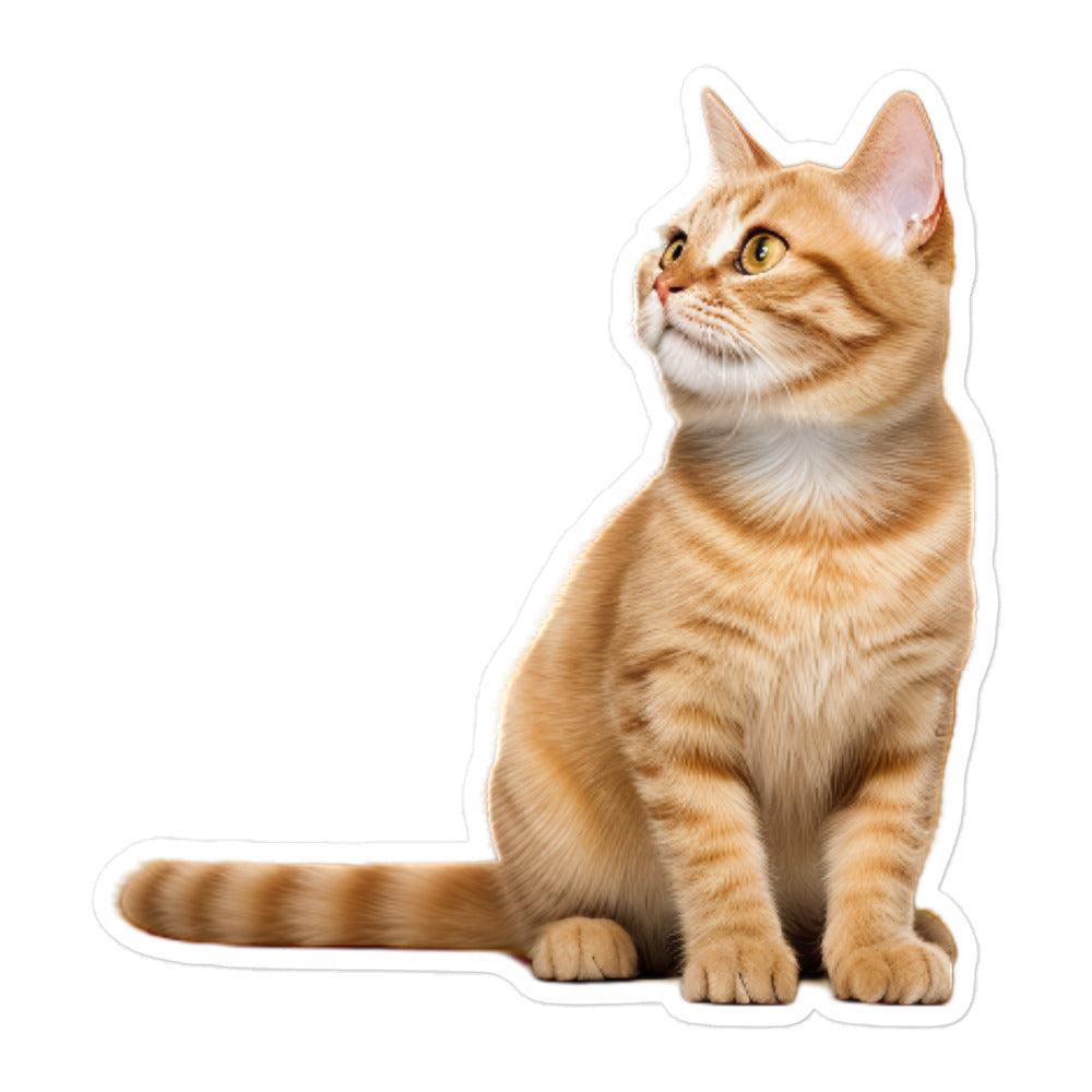 Manx Sticker - Stickerfy.ai