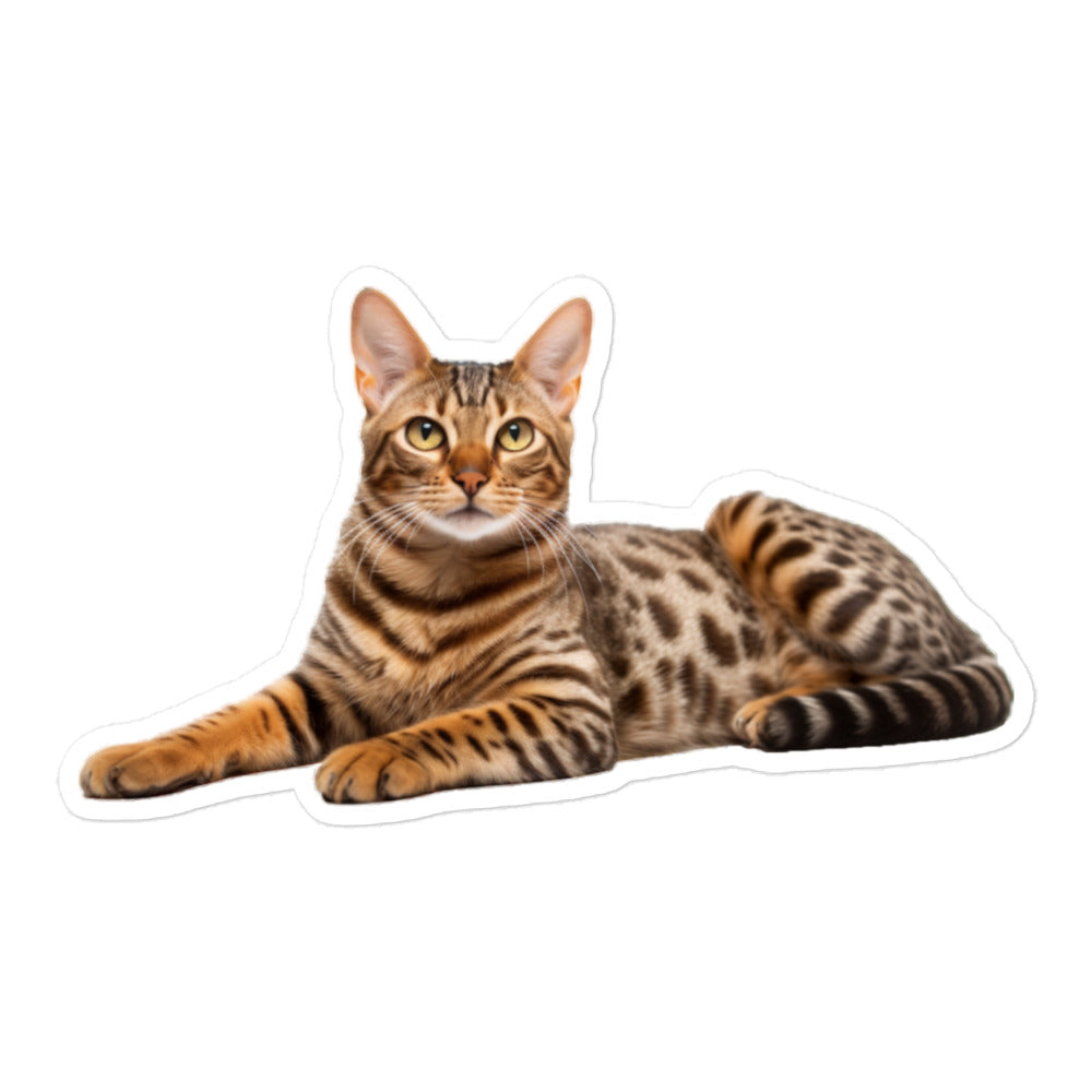 Ocicat Sticker - Stickerfy.ai