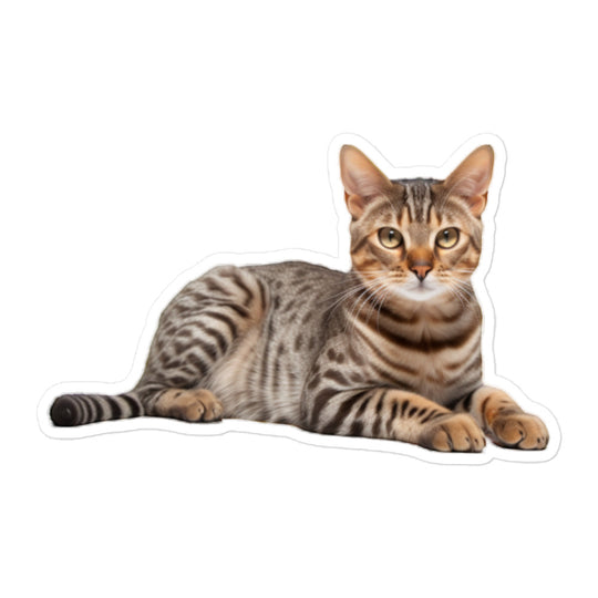 Ocicat Sticker - Stickerfy.ai