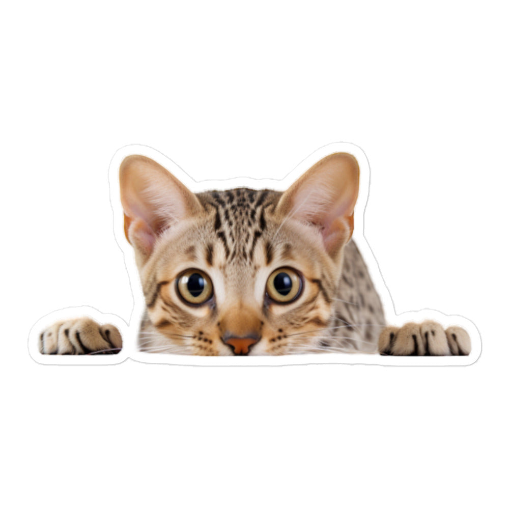 Ocicat Sticker - Stickerfy.ai