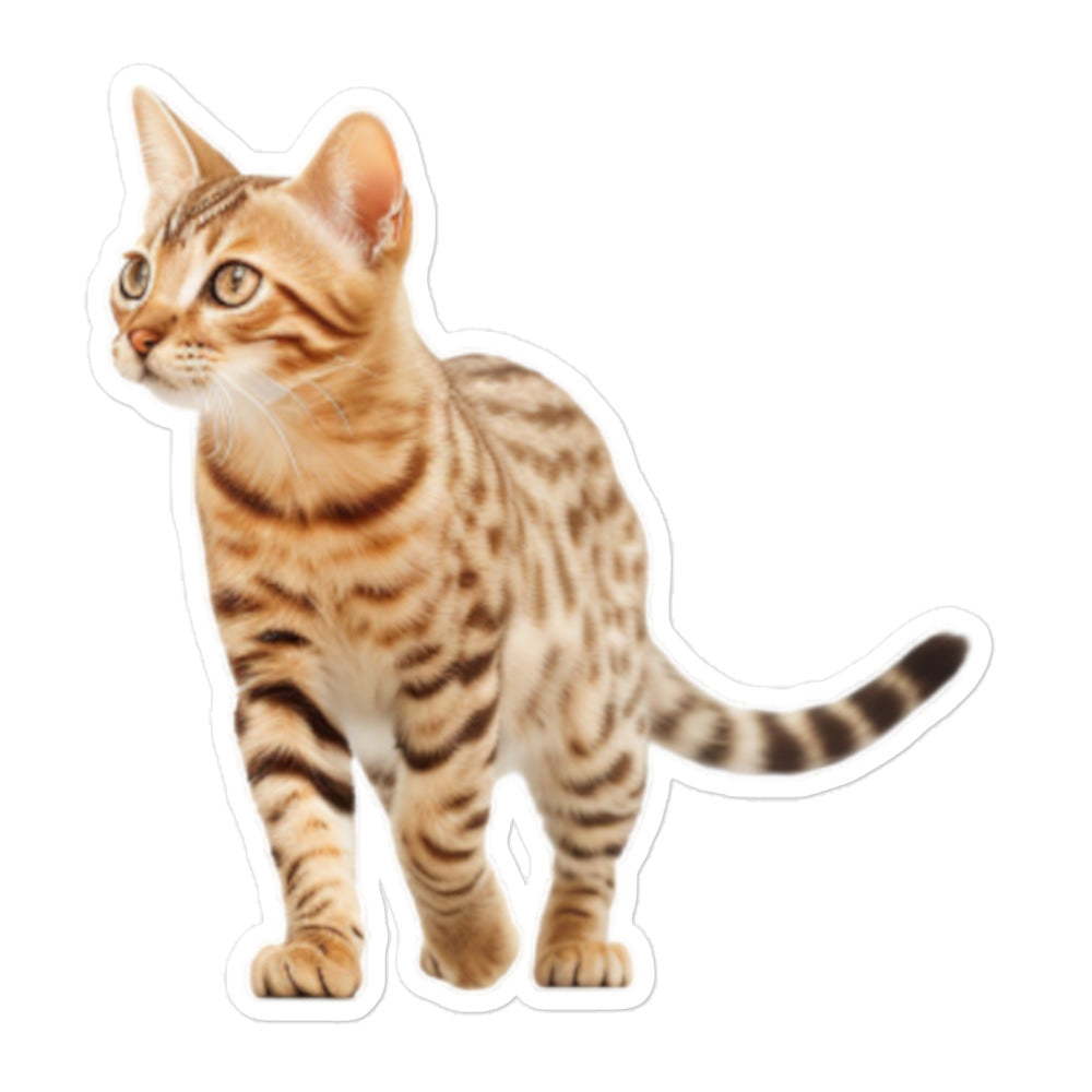 Ocicat Sticker - Stickerfy.ai