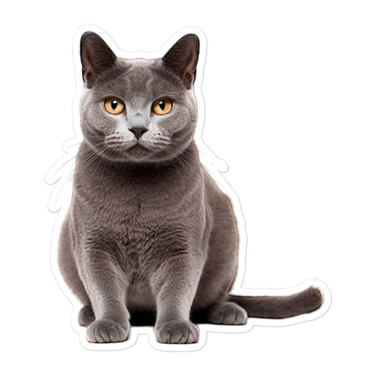 Russian Blue Sticker - Stickerfy.ai