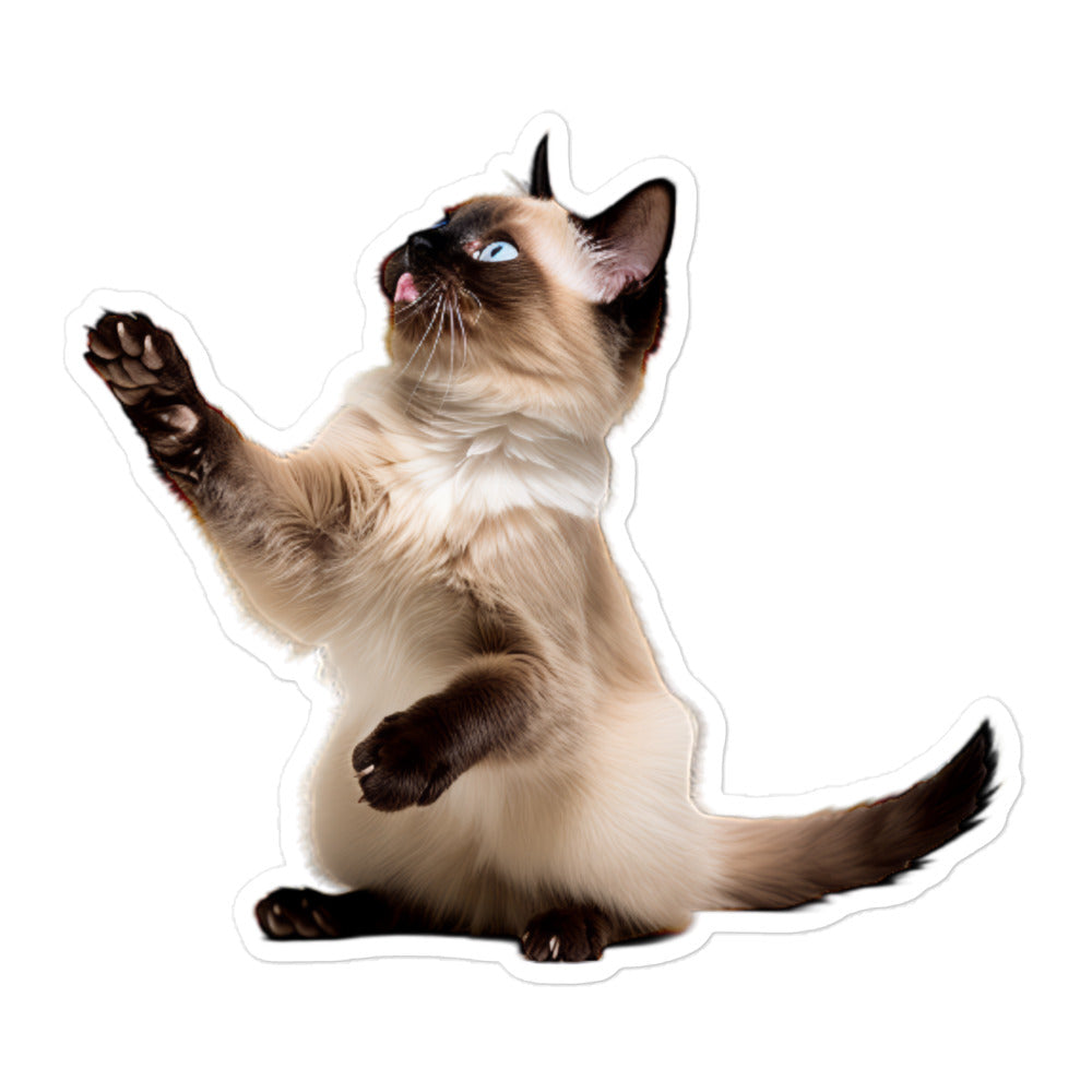 Siamese Sticker - Stickerfy.ai