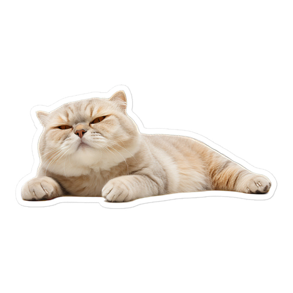 Scottish Fold Sticker - Stickerfy.ai