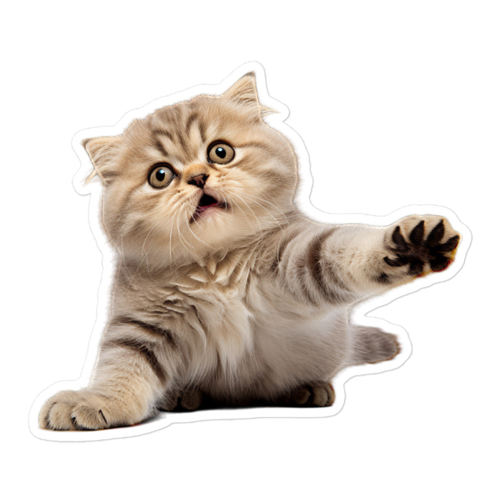 Scottish Fold Sticker - Stickerfy.ai