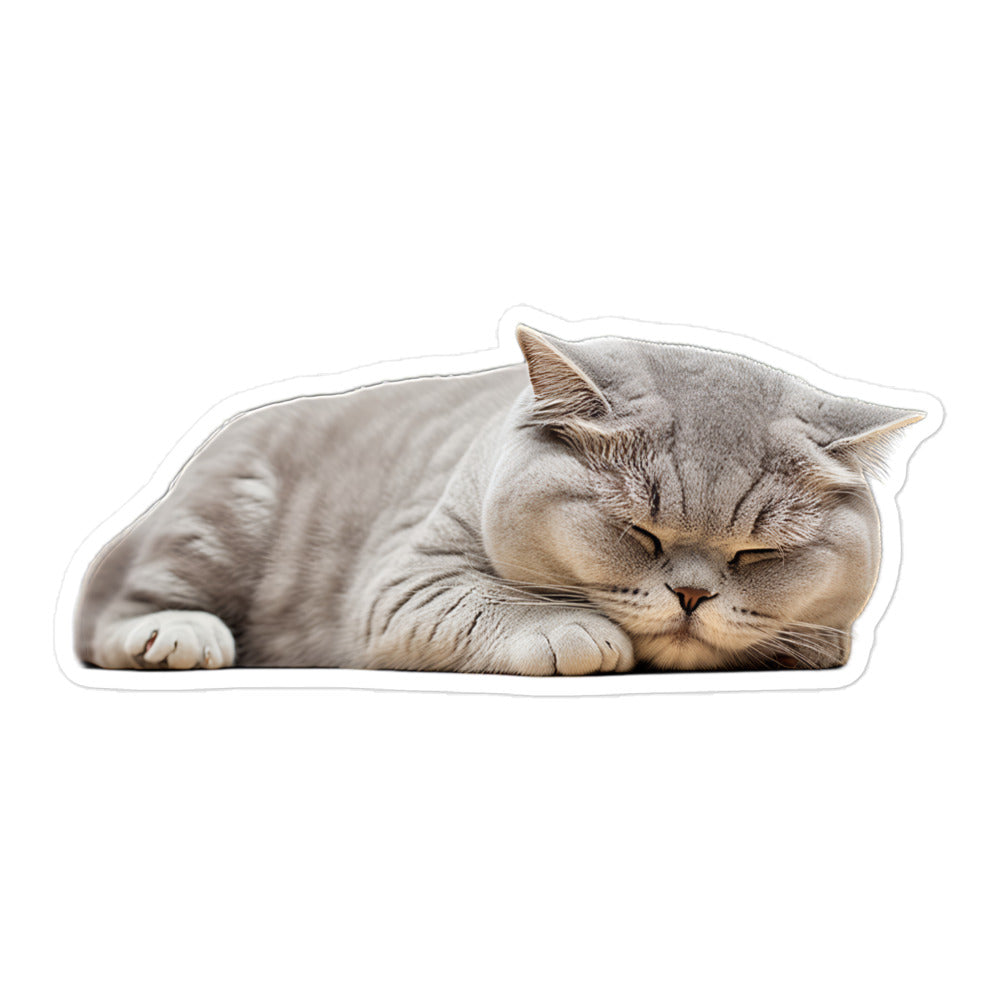 Scottish Fold Sticker - Stickerfy.ai