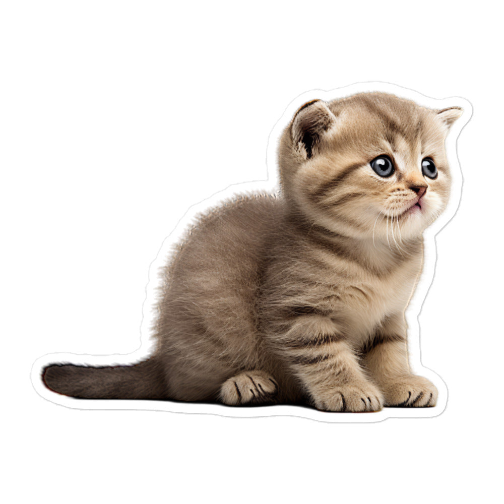 Scottish Fold Sticker - Stickerfy.ai