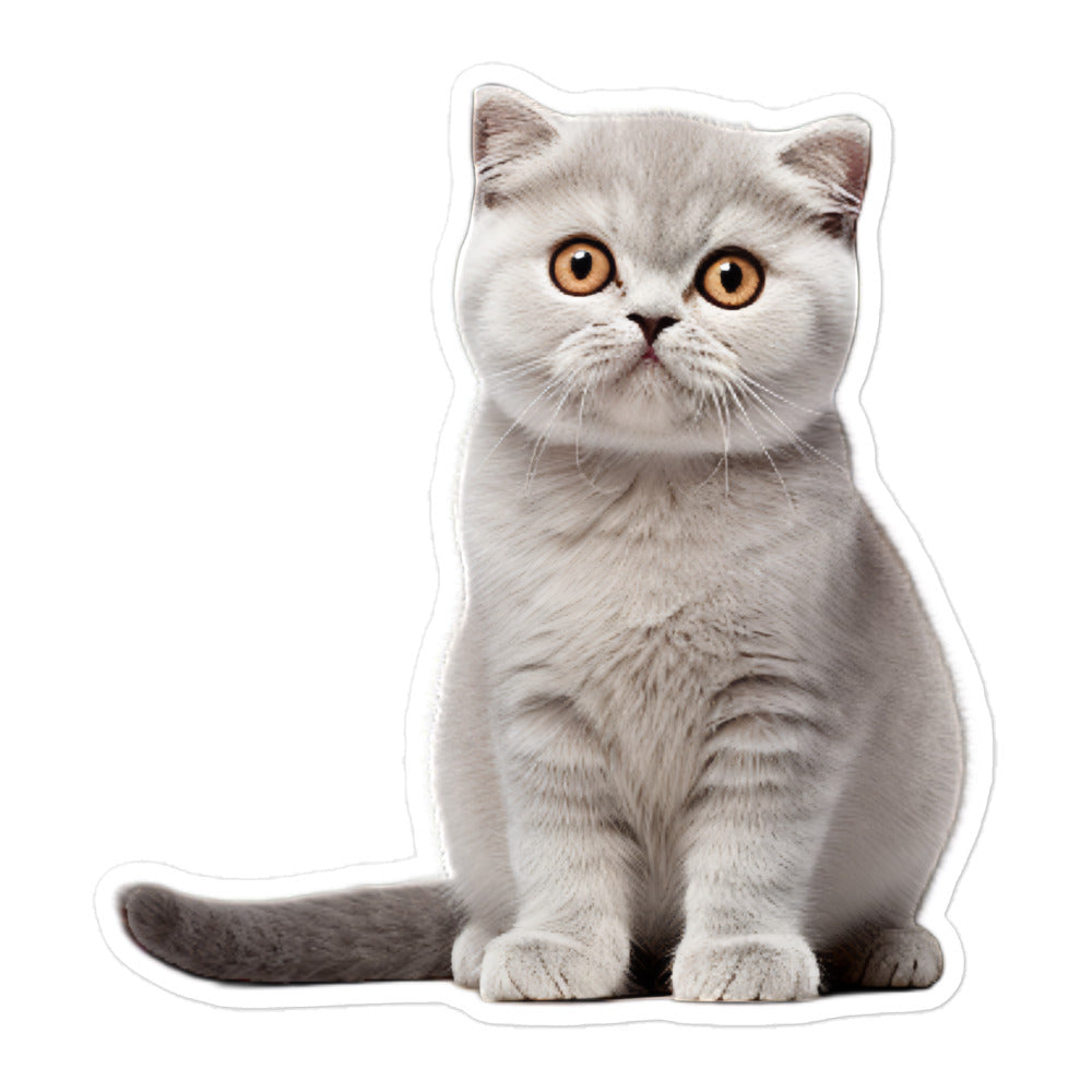 Scottish Fold Sticker - Stickerfy.ai