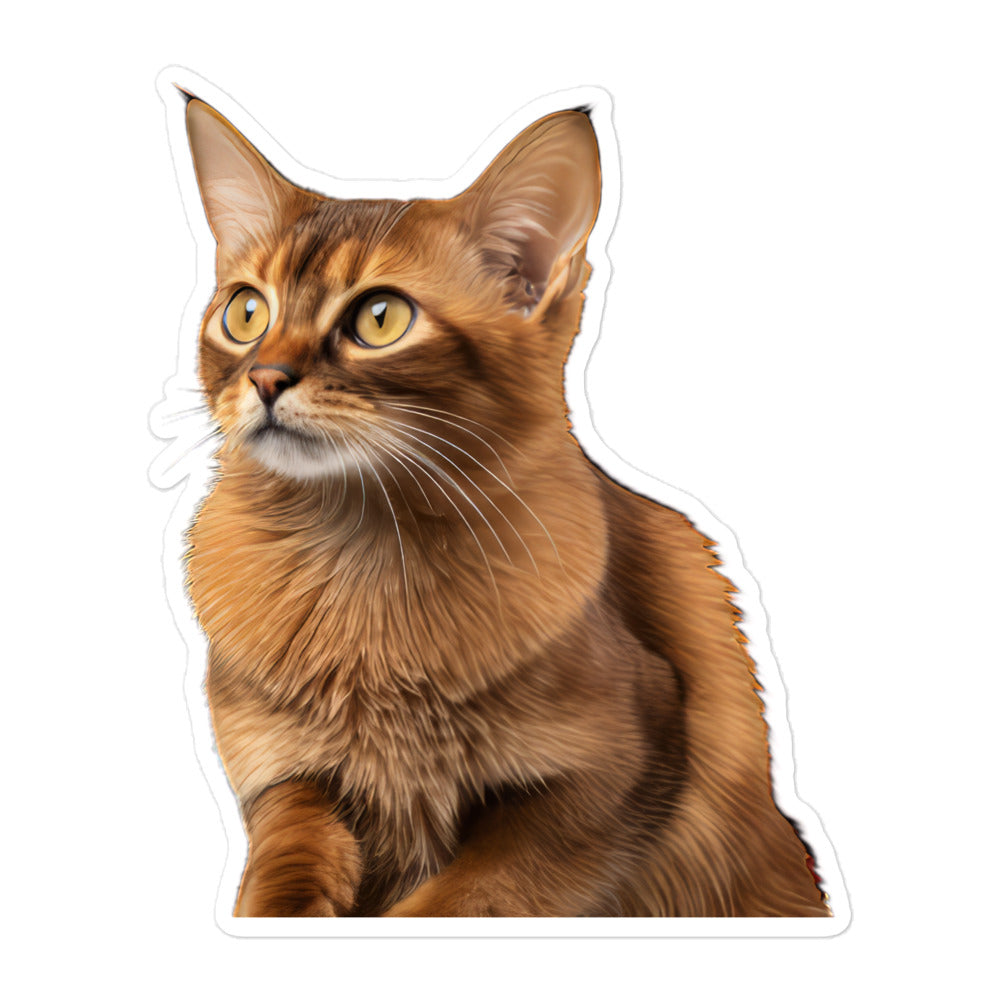 Somali Sticker - Stickerfy.ai