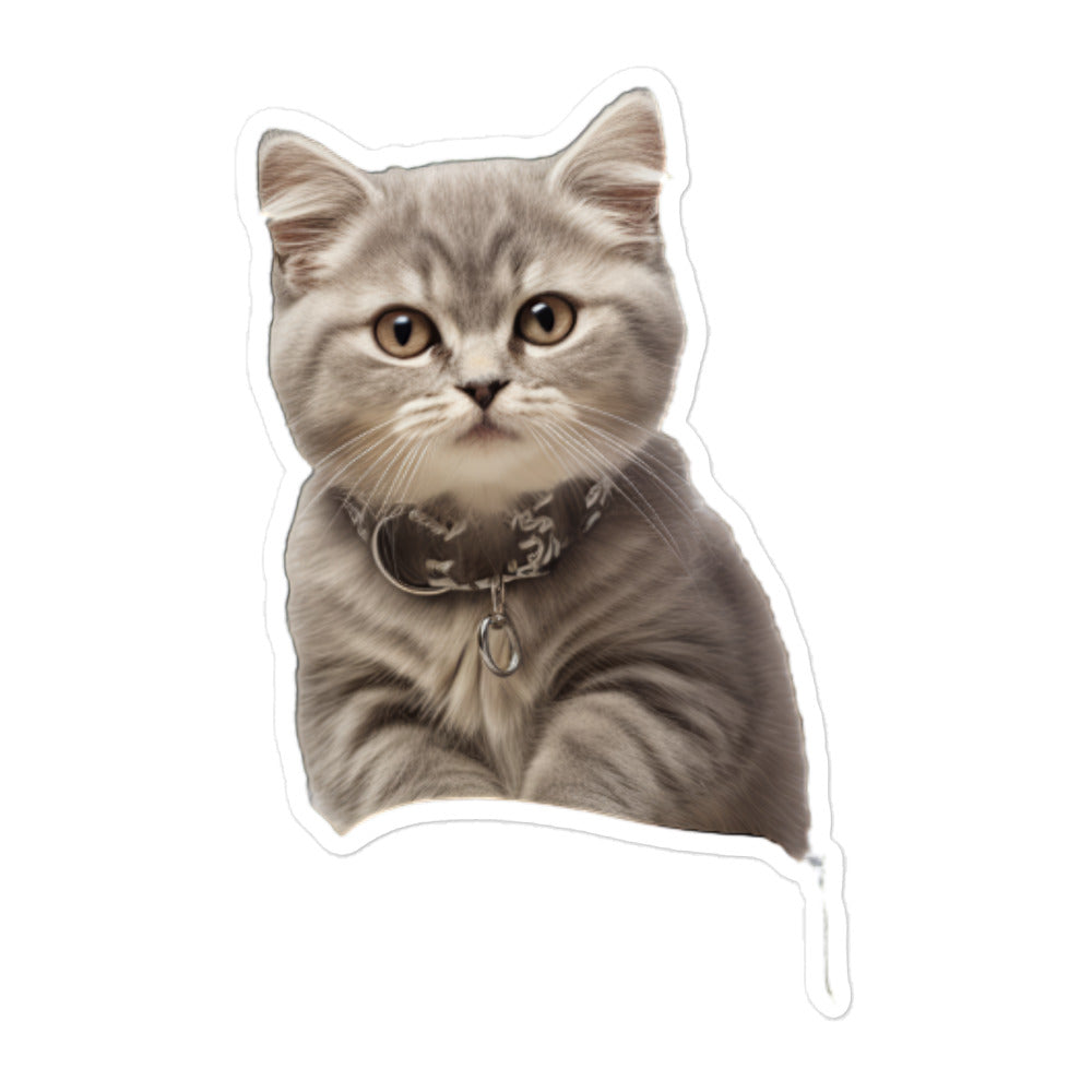 American Shorthair Student Sticker - Stickerfy.ai