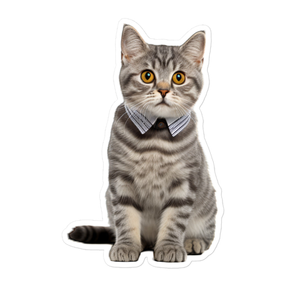 American Shorthair Student Sticker - Stickerfy.ai