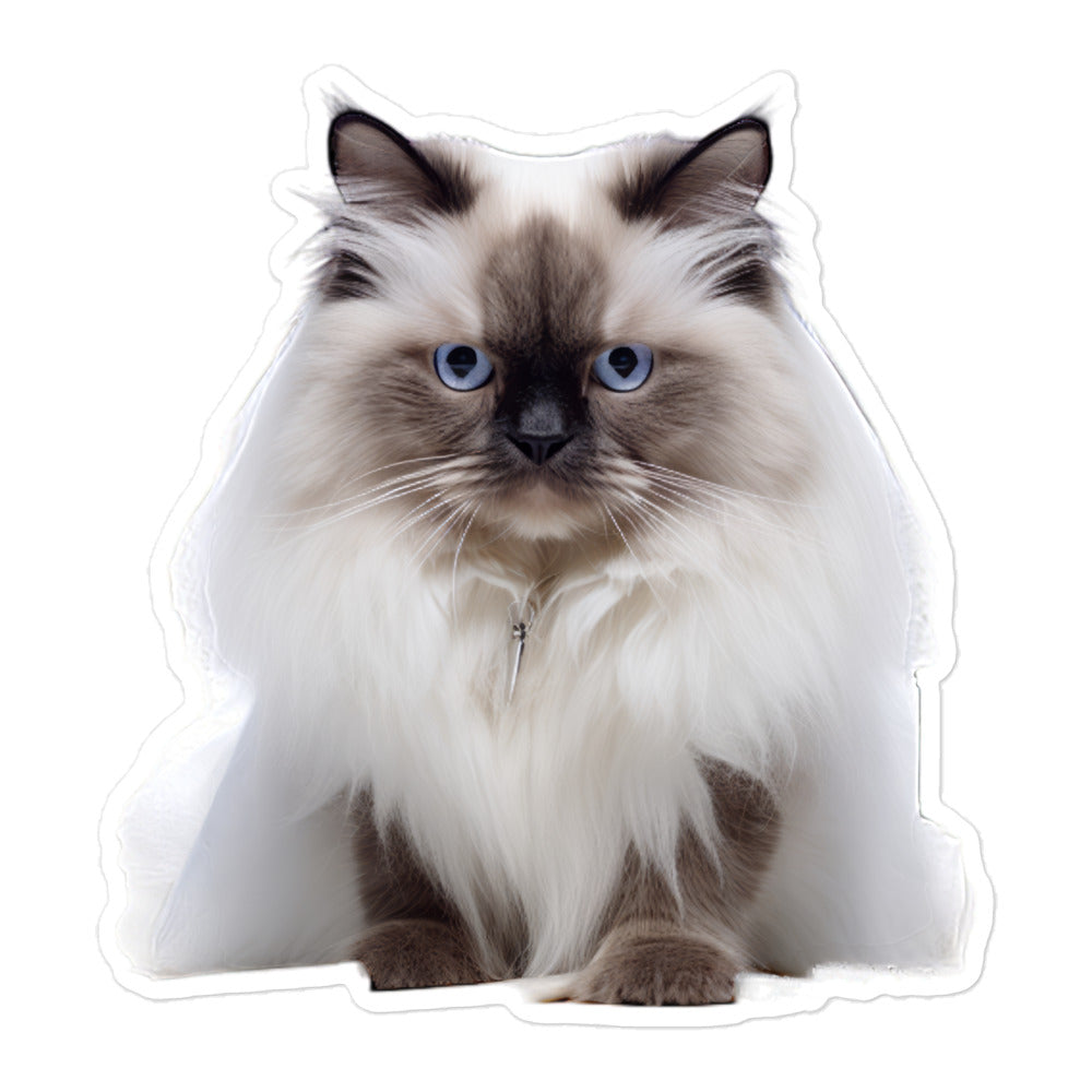 Birman Pharmacist Sticker - Stickerfy.ai