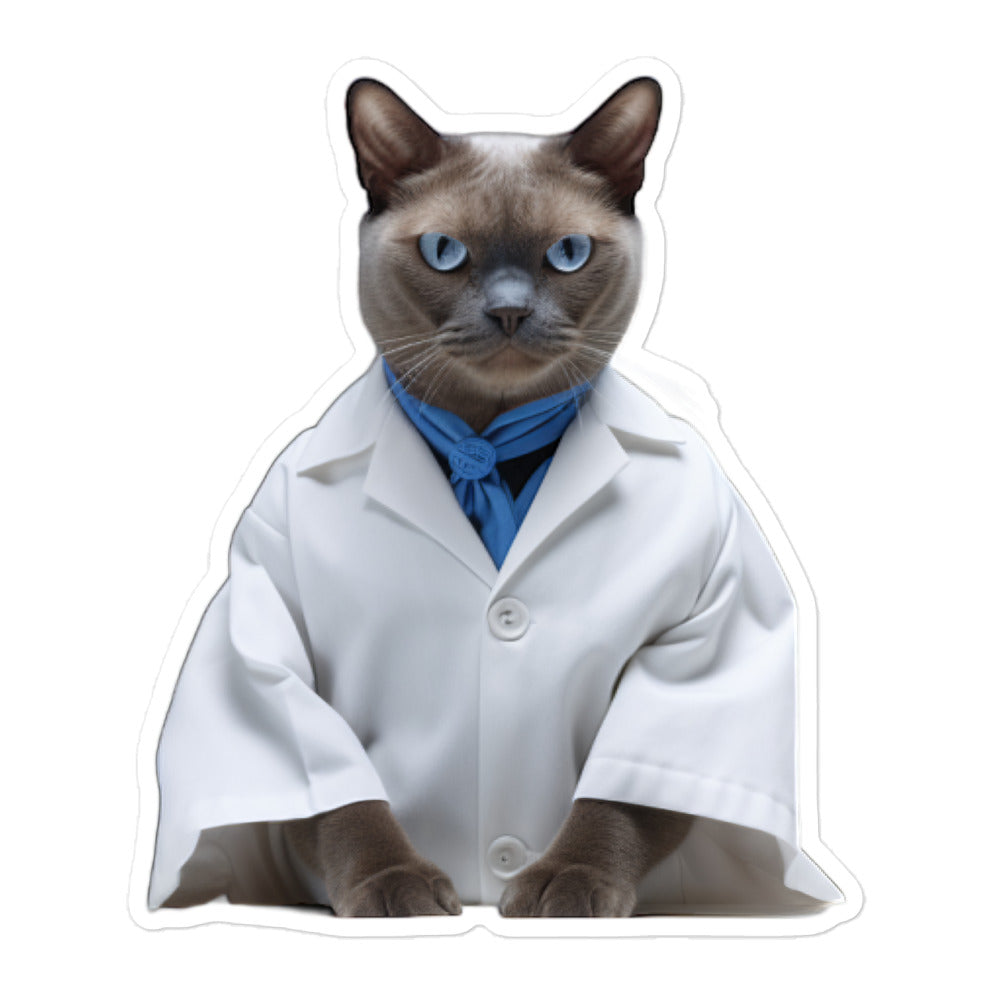 Burmese Pharmacist Sticker - Stickerfy.ai