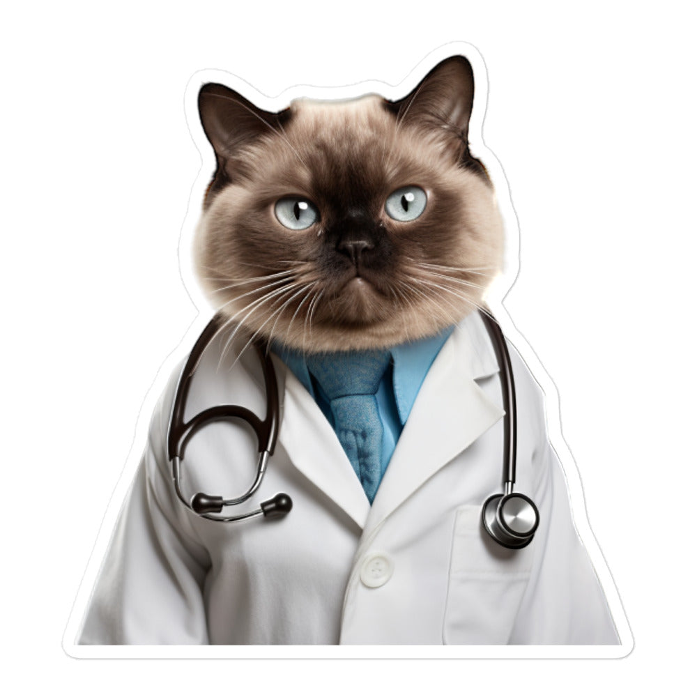 Burmese Doctor Sticker - Stickerfy.ai