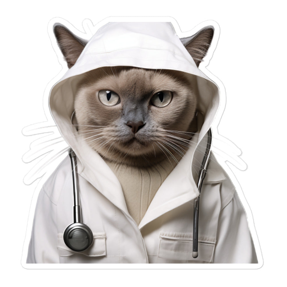 Burmese Doctor Sticker - Stickerfy.ai