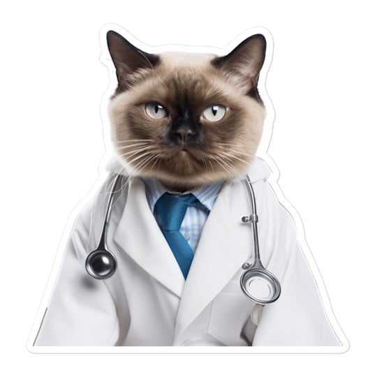 Burmese Doctor Sticker - Stickerfy.ai