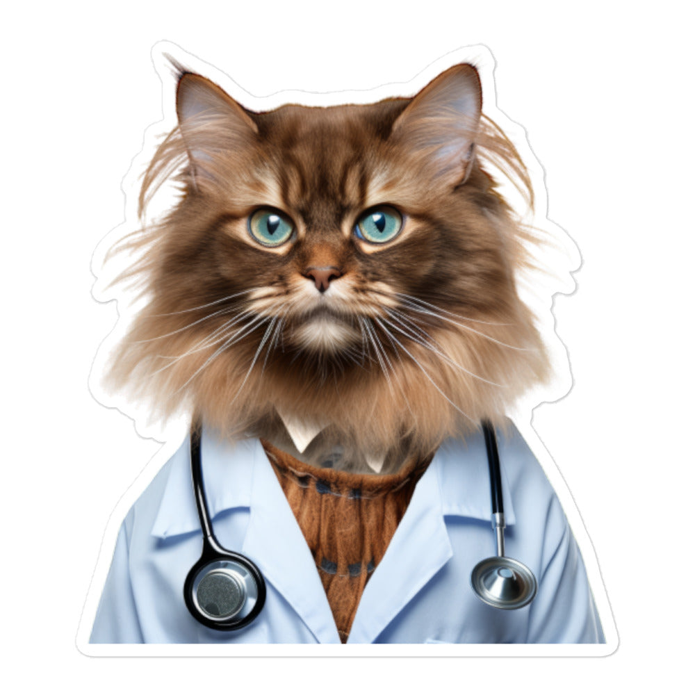 Somali Doctor Sticker - Stickerfy.ai