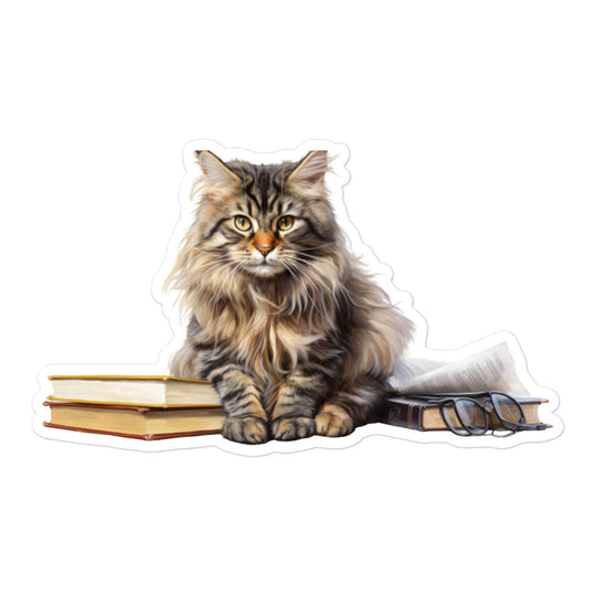 Maine Coon Student Sticker - Stickerfy.ai