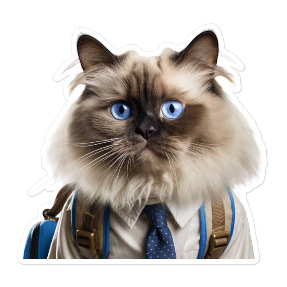 Ragdoll Student Sticker - Stickerfy.ai