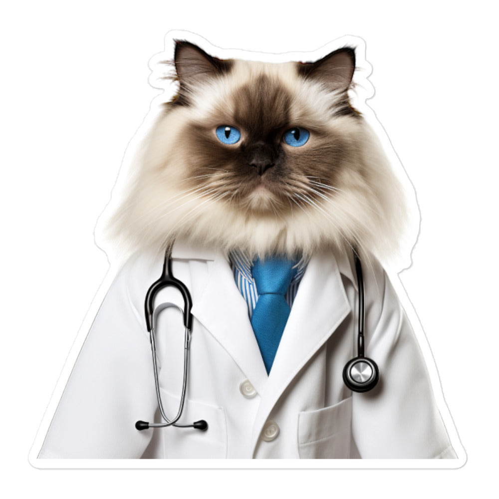 Ragdoll Doctor Sticker - Stickerfy.ai