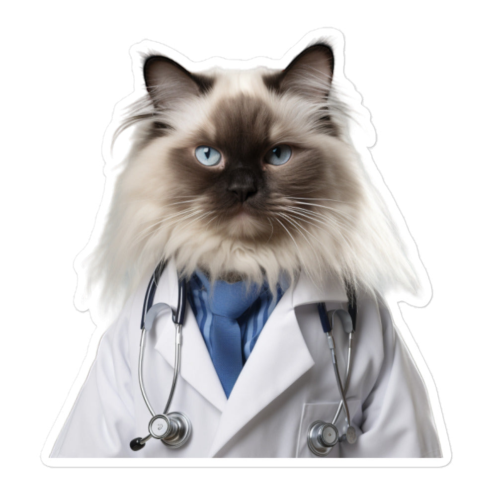 Ragdoll Doctor Sticker - Stickerfy.ai