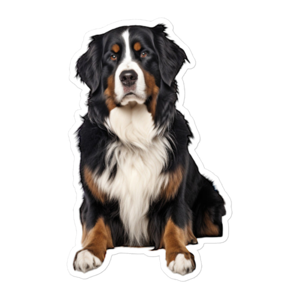 Bernese Mountain Pharmacist Sticker - Stickerfy.ai