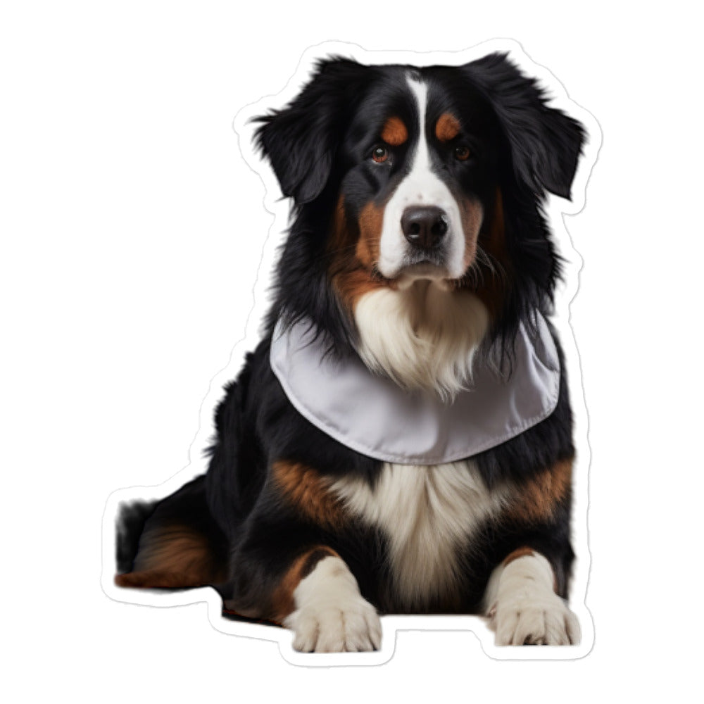 Bernese Mountain Pharmacist Sticker - Stickerfy.ai