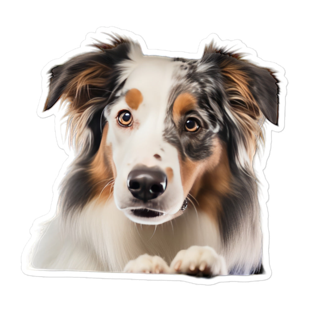 Australian Shepherd Transit Operator Sticker - Stickerfy.ai