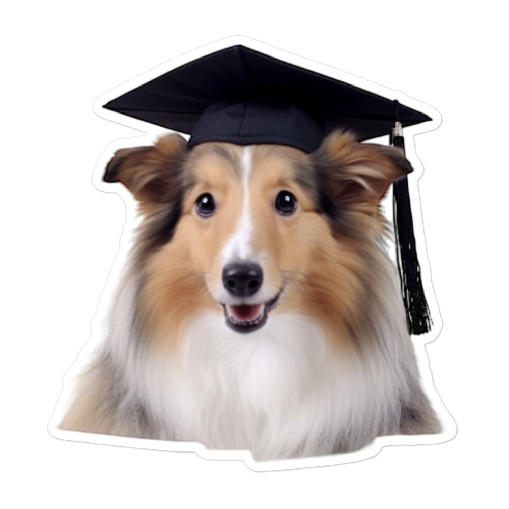 Shetland Sheepdog Student Sticker - Stickerfy.ai