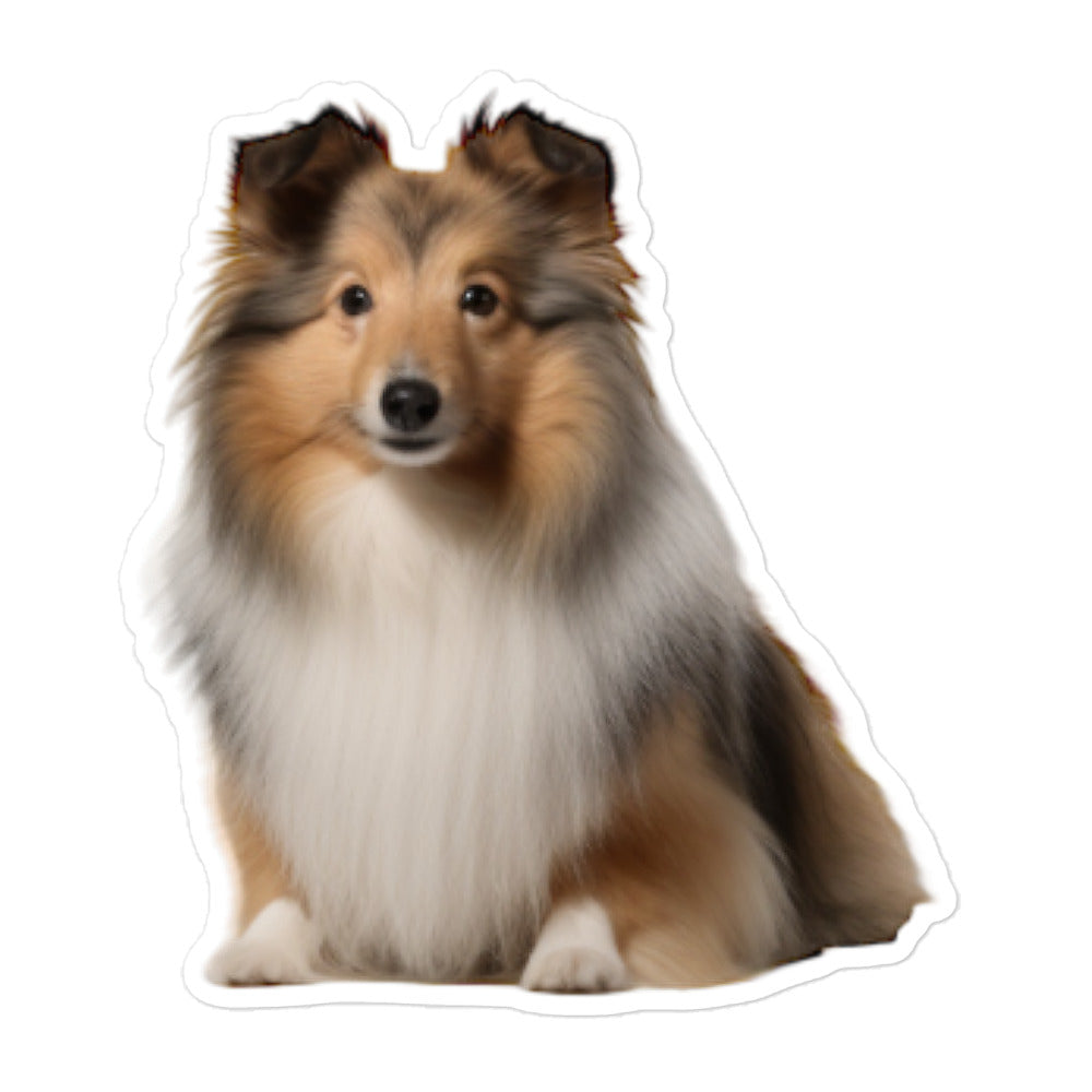 Shetland Sheepdog Pharmacist Sticker - Stickerfy.ai