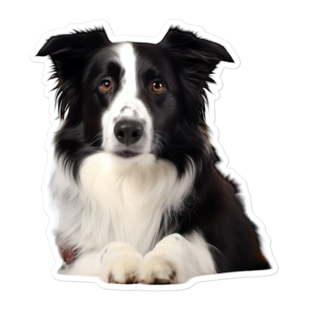 Border Collie Pharmacist Sticker - Stickerfy.ai