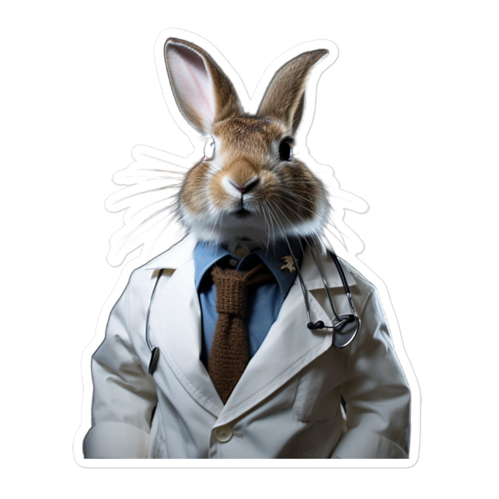 Dutch Compassionate Doctor Bunny Sticker - Stickerfy.ai