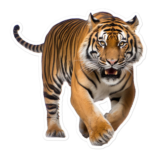 Sumatran Tiger Sticker - Stickerfy.ai