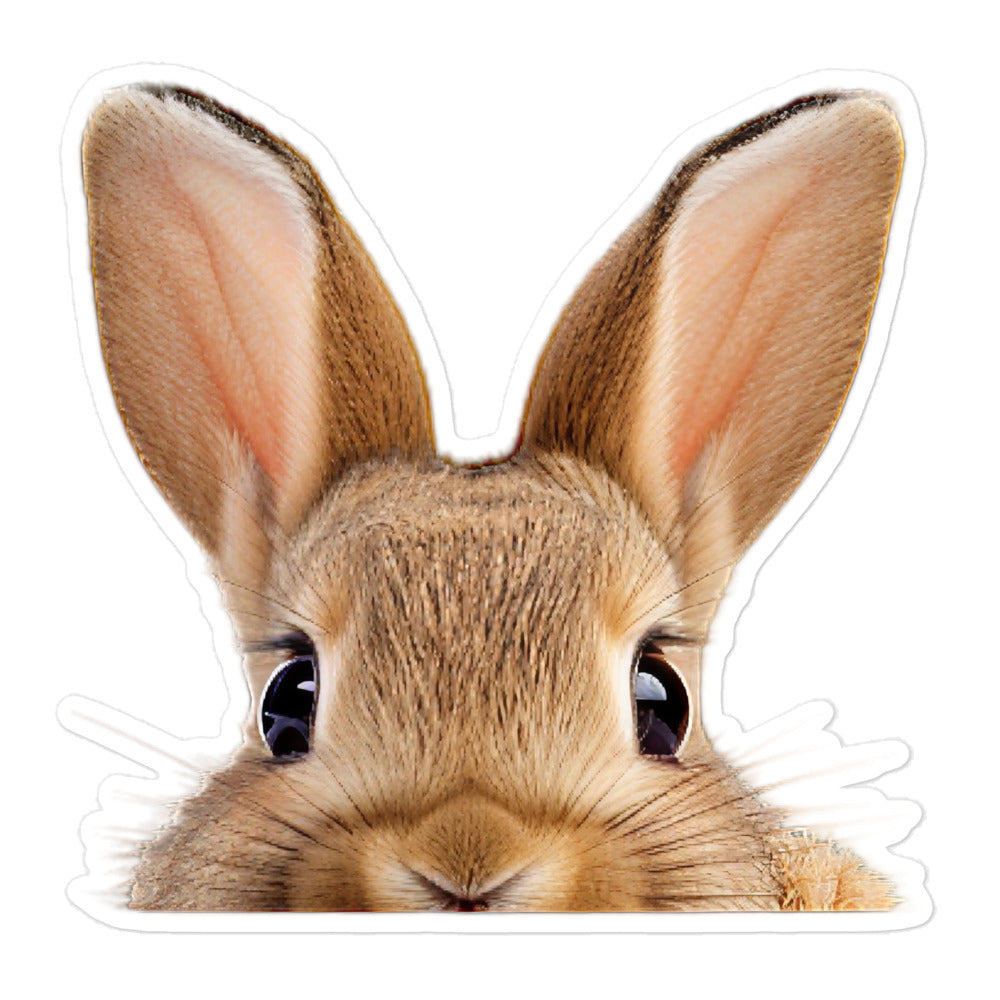 Californian Bunny Sticker - Stickerfy.ai