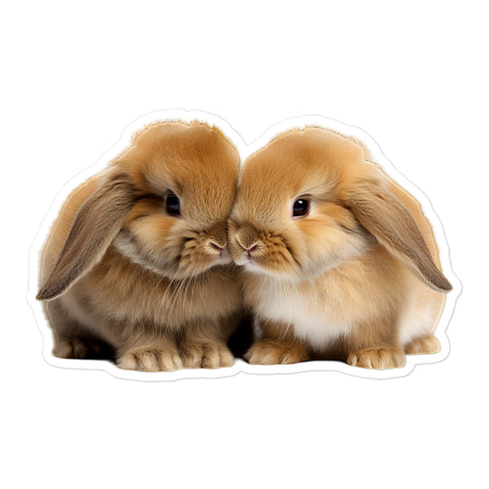 Holland Lop Bunny Sticker - Stickerfy.ai