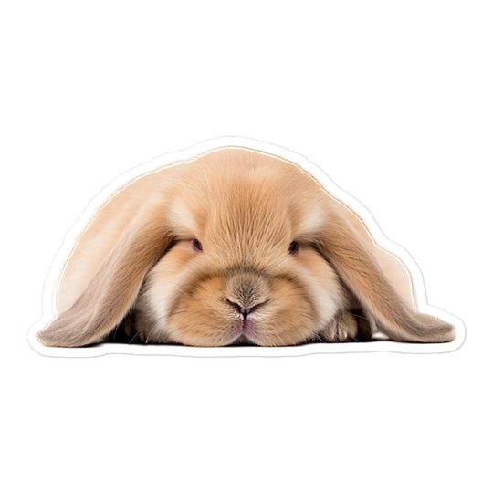 Holland Lop Bunny Sticker - Stickerfy.ai
