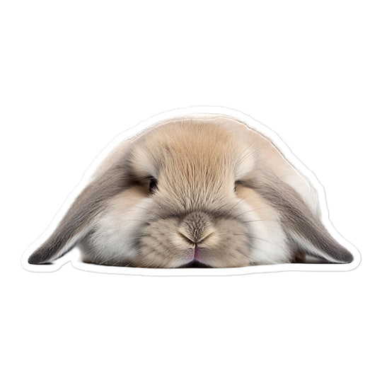 Holland Lop Bunny Sticker - Stickerfy.ai