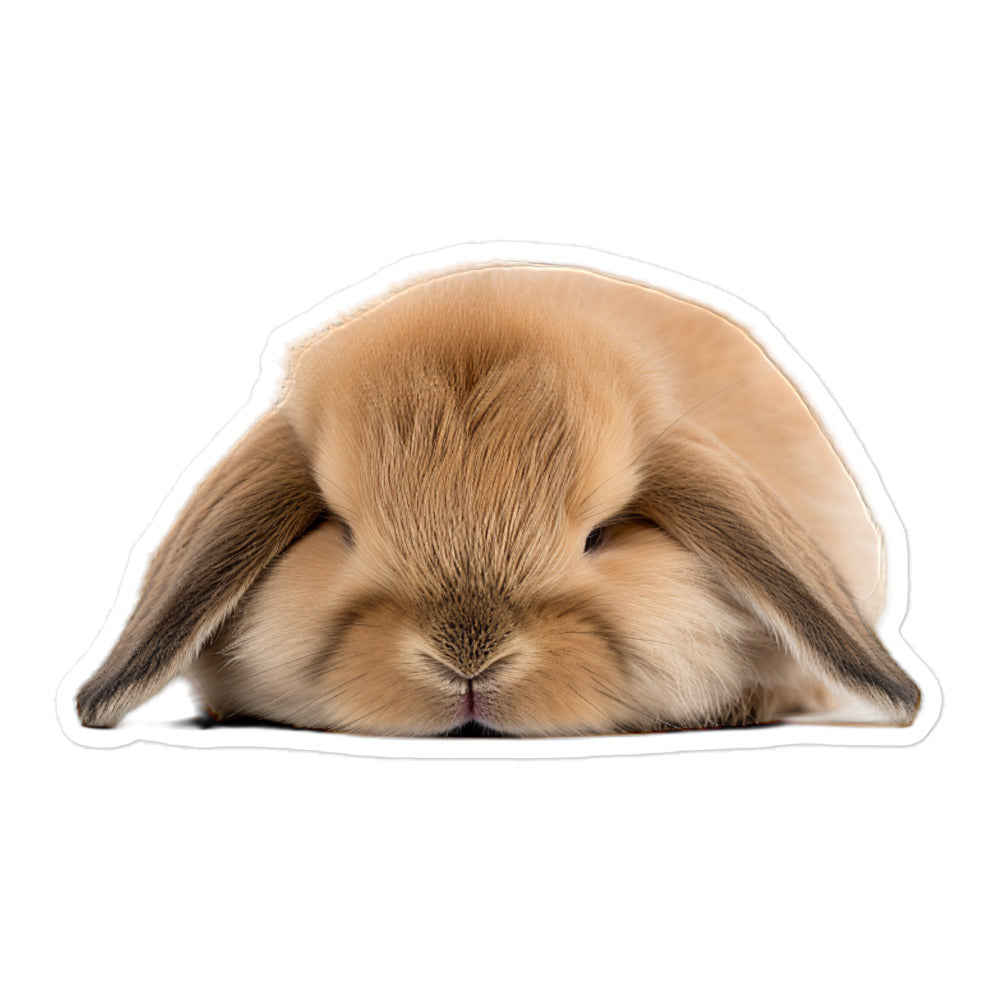 Holland Lop Bunny Sticker - Stickerfy.ai