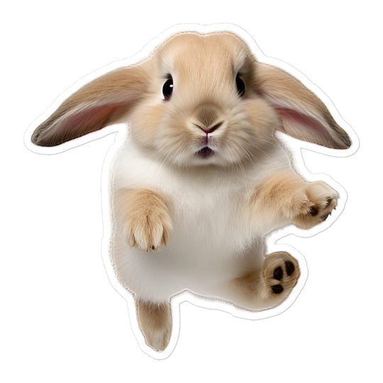 Holland Lop Bunny Sticker - Stickerfy.ai