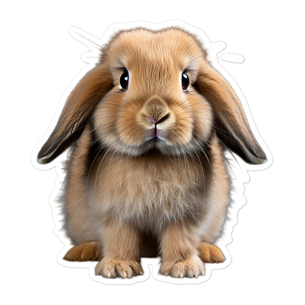 Holland Lop Bunny Sticker - Stickerfy.ai