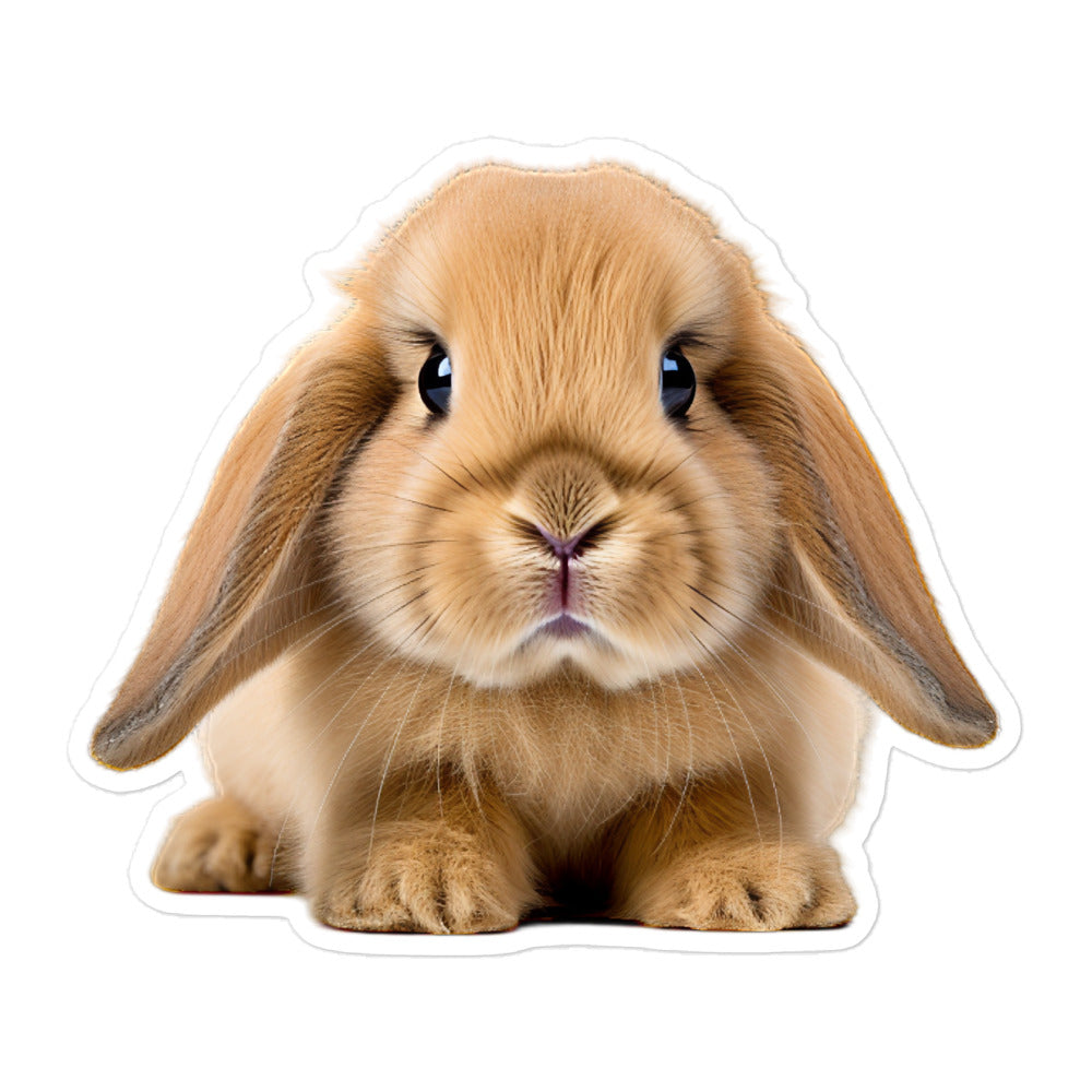 Holland Lop Bunny Sticker - Stickerfy.ai