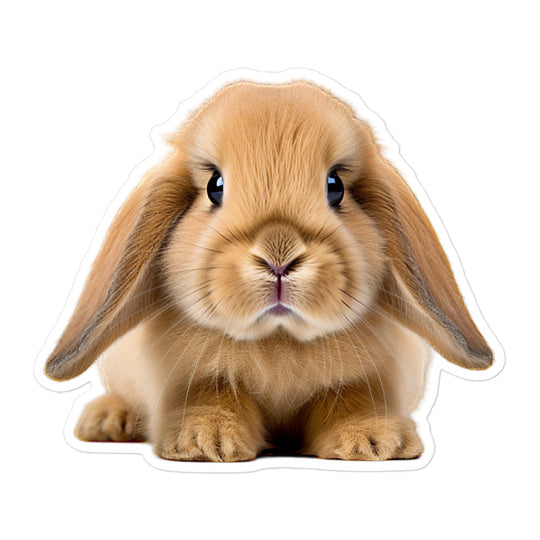 Holland Lop Bunny Sticker - Stickerfy.ai