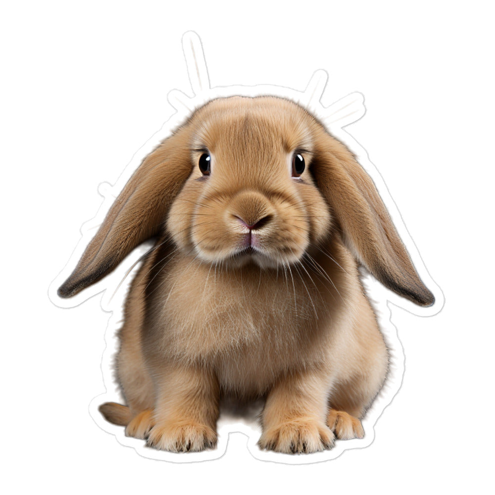 English Lop Bunny Sticker - Stickerfy.ai