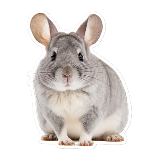 Chinchilla Bunny Sticker - Stickerfy.ai