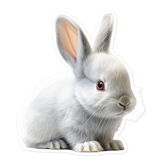 Beveren Bunny Sticker - Stickerfy.ai