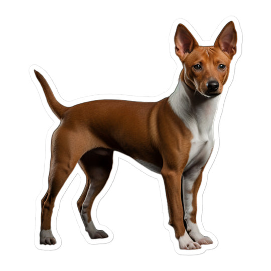 Basenji Sticker - Stickerfy.ai