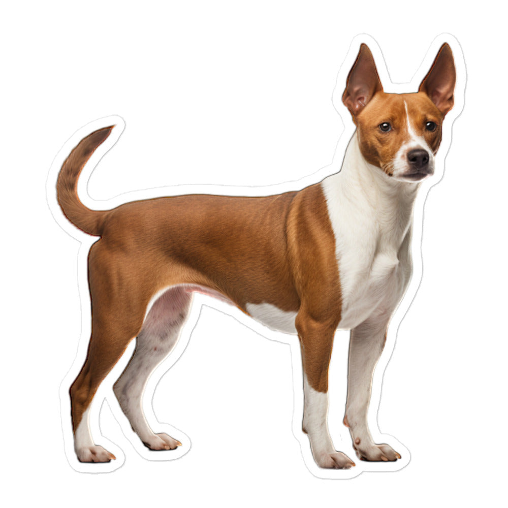 Basenji Sticker - Stickerfy.ai